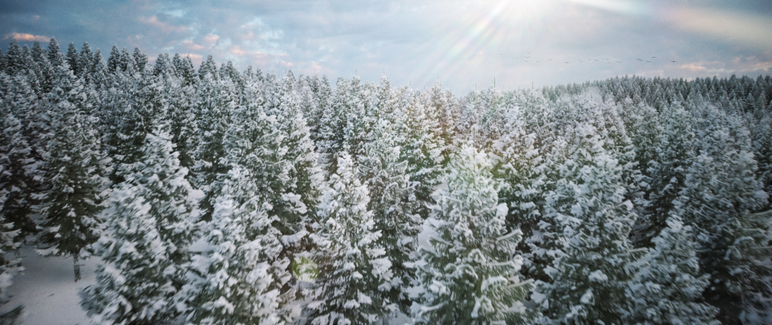 Kerstkaar2025_Still_3