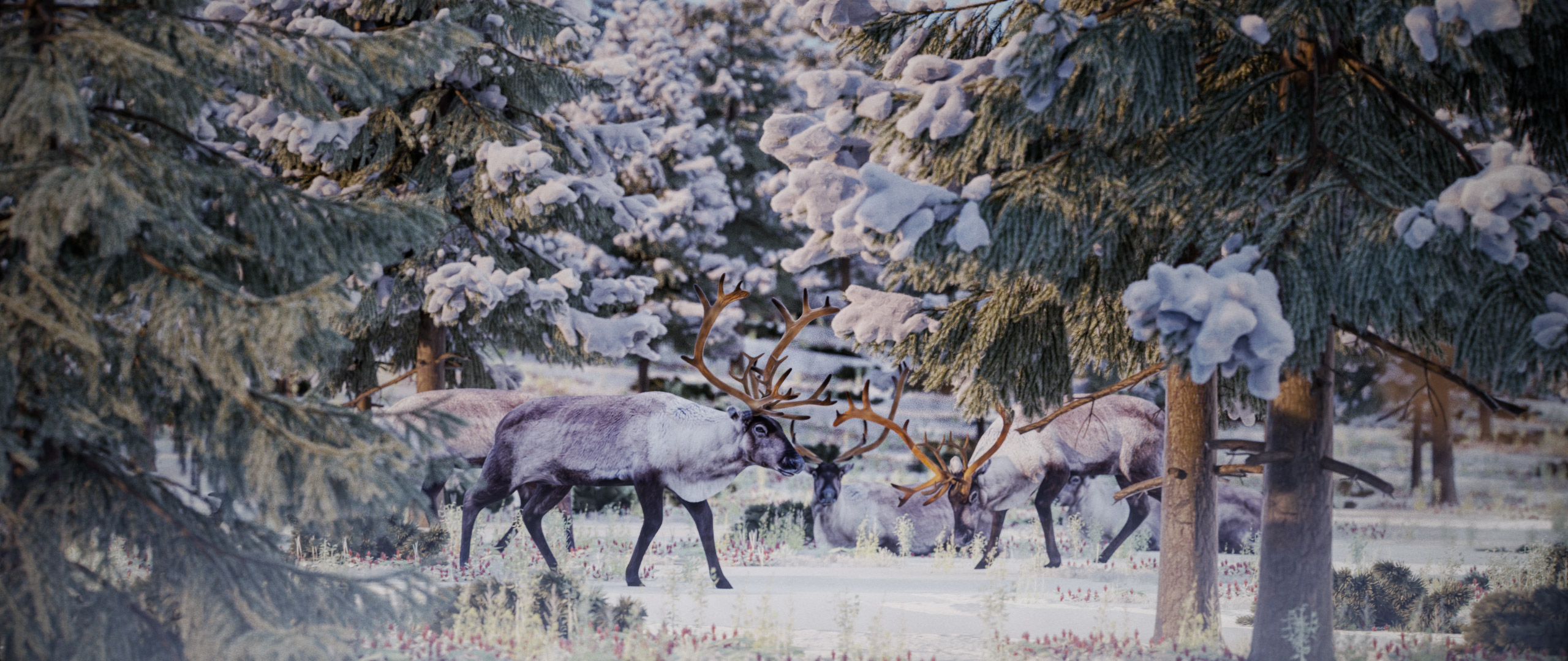 Happy Holidays - 2025